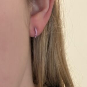 Stephanie Gottlieb Pave Huggies